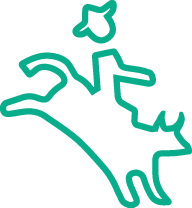 Domain für den Rodeosport