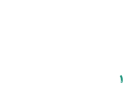 Das schnellste WordPress
